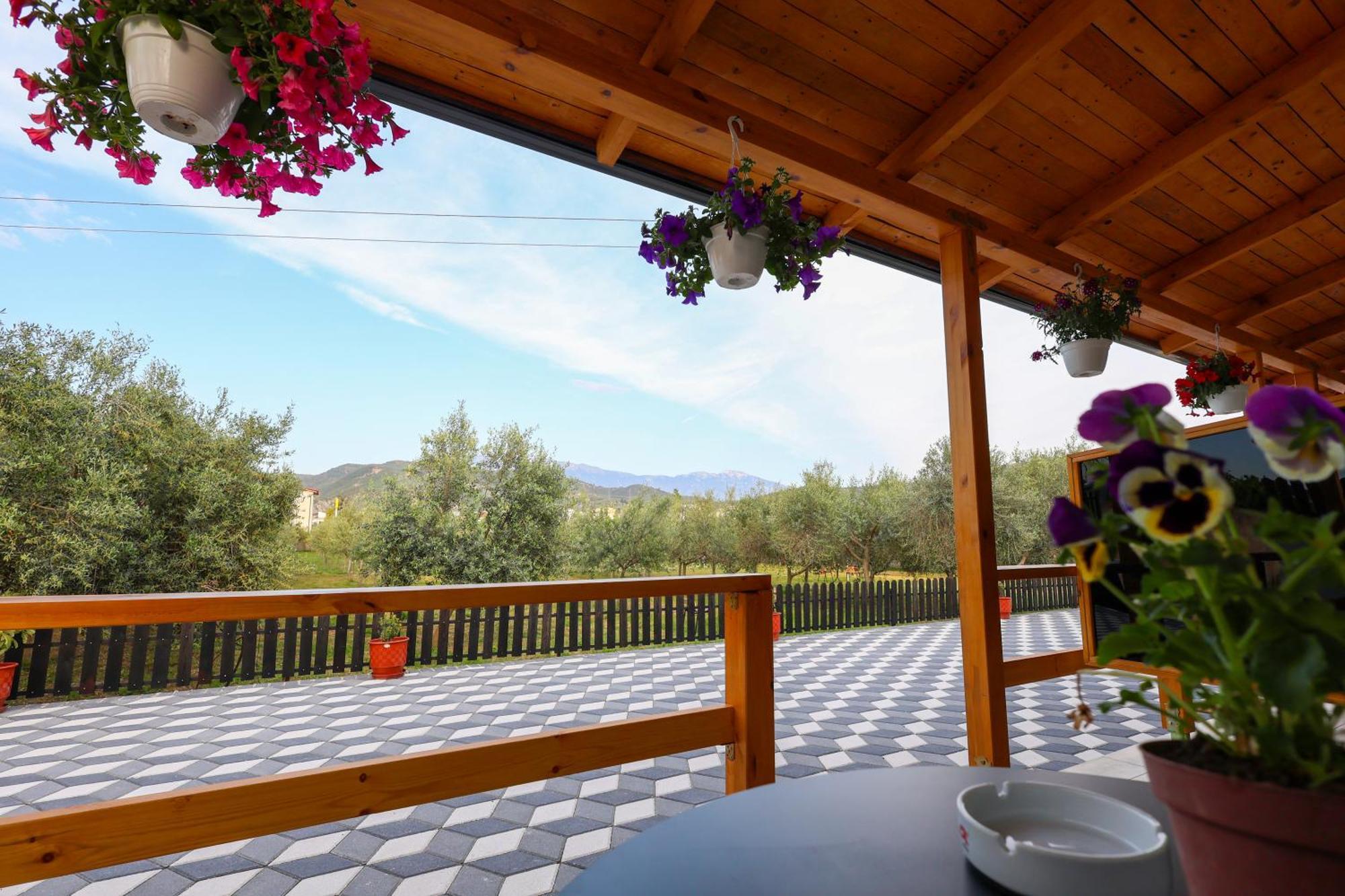 Olive Oasis Studio Berat Exterior photo